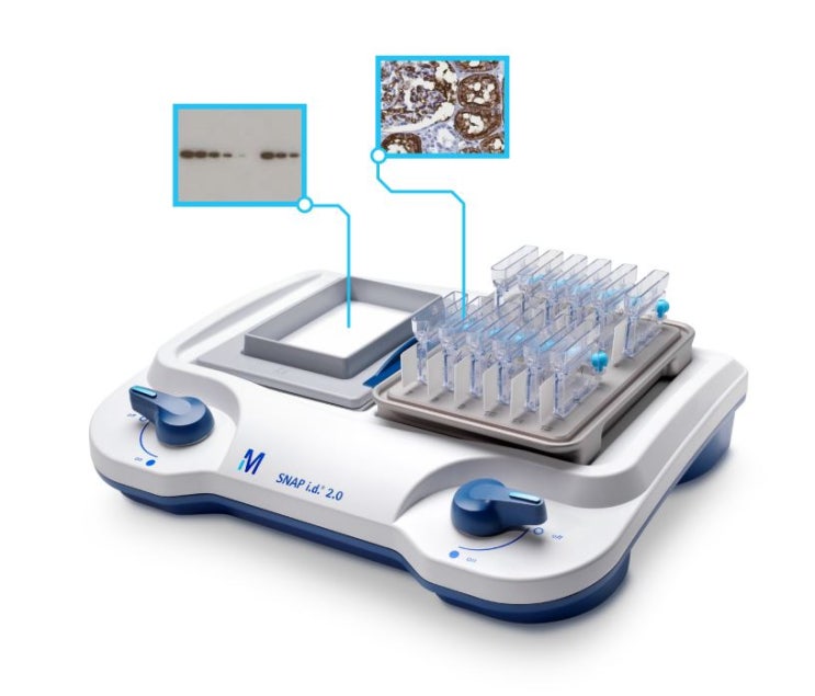  SNAP i.d. 2.0 단백질 검출(Protein Detection) 시스템 for 웨스턴블롯(Western blot) & IHC