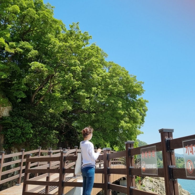  여수 모사금해수욕장 국내 여름휴양지 핫플카페 선베드 해안도로 전남 드라이브코스