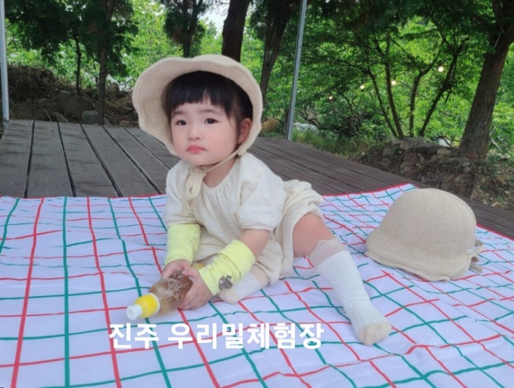  경남 진주 농촌 체험학습 가볼만한곳 우리밀체험장