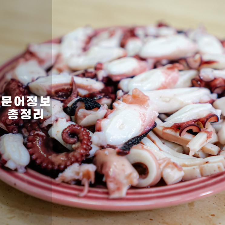  다리개수 , 칼로리 자숙 뜻 알고 먹는 문어철 ft. 게통령