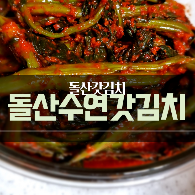 여수갓김치 ) 돌산수연갓김치 (feat. 알타리 무)