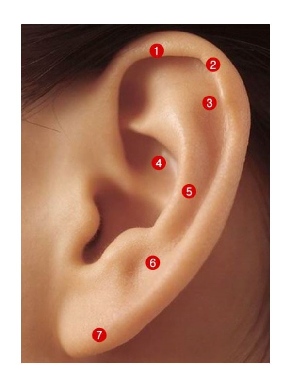 귓볼점 귀 점 관상 오른쪽 왼쪽 귀점 귀뒤점 총정리 : 네이버 블로그