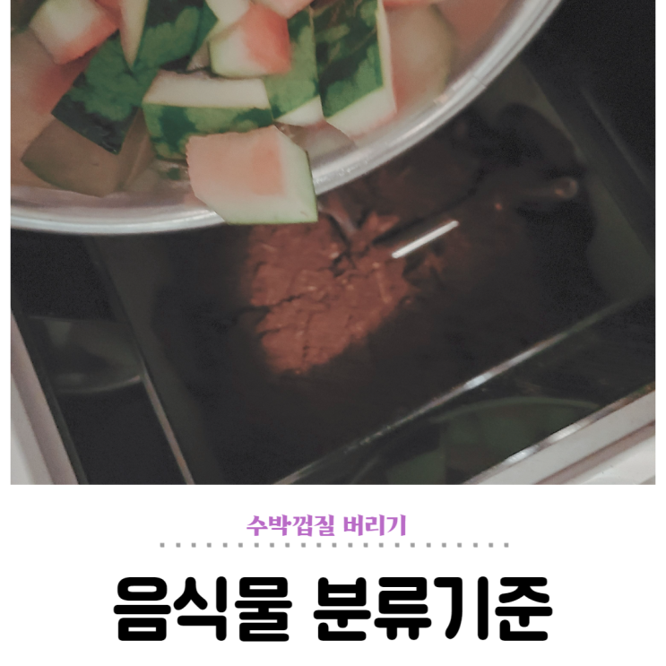  수박껍질 버리기 분류 기준 알아보기 (ft. 음식물처리기)