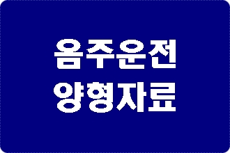  수원 음주운전 반성문 탄원서 전문 행정사
