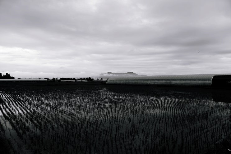 <b>모내기</b> 2022 07_<b>부산</b> 봉림동
