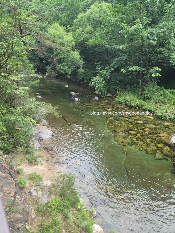 소백산 남천야영장 풀옵션일반텐트 이용후기+단양구경시장 방문기 소백산 남천야영장 풀옵션일반텐트 이용후기+단양구경시장 방문기