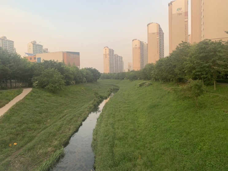  저녁 집근처 산책
