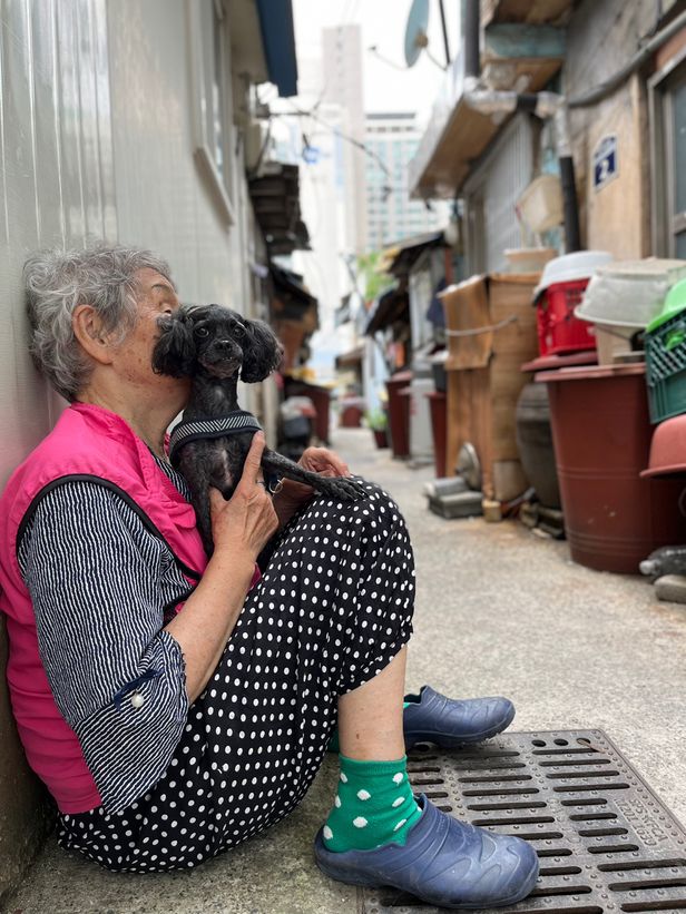 “변소 댕기는 게 일… 우짜겠노? 더우면 더우리 하고 사는기지”