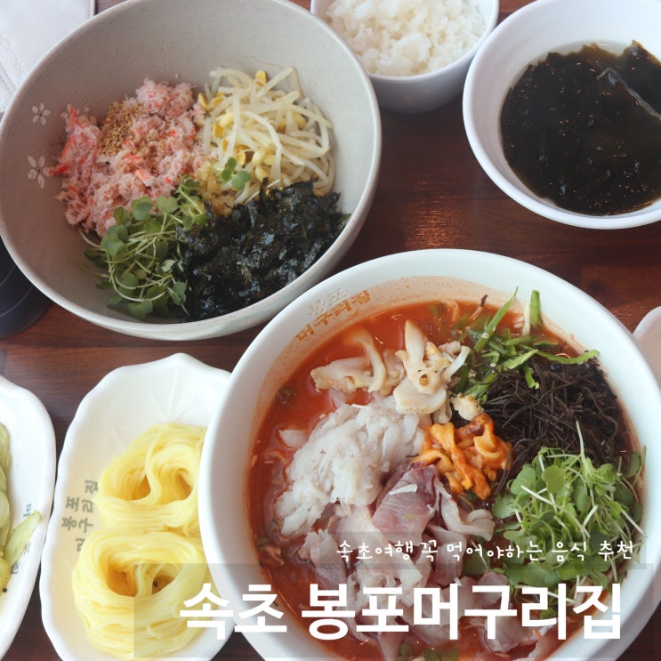  속초 봉포 머구리집 물회 속초 여행 / 속초물회맛집 추천 ! 속초 오션뷰를 보며 속초물회를 먹자