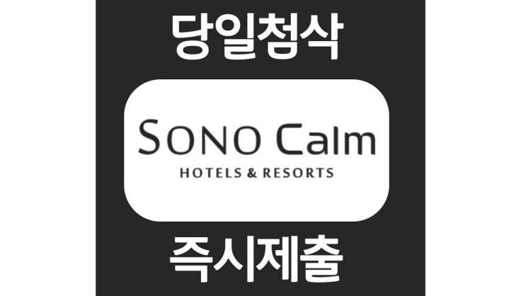 대명소노캄 소노인터내셔널 고양 신입 경력채용 자소서항목 자기소개서 문항 작성방법 첨삭받기 대명소노캄 소노인터내셔널 고양 신입 경력채용 자소서항목 자기소개서 문항 작성방법 첨삭받기