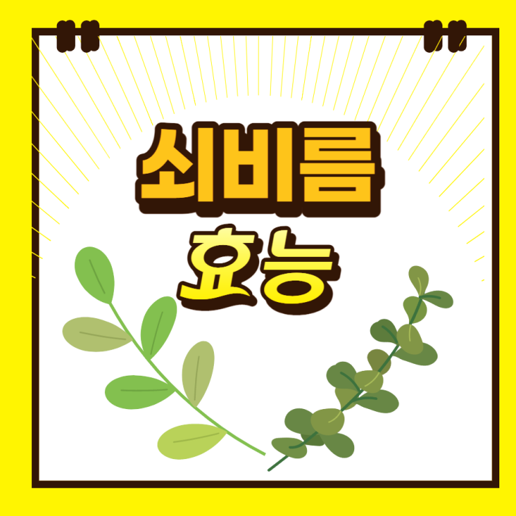쇠비름 효능 9가지 장명채 오행초 먹는법 주의사항 쇠비름 효능 9가지 장명채 오행초 먹는법 주의사항