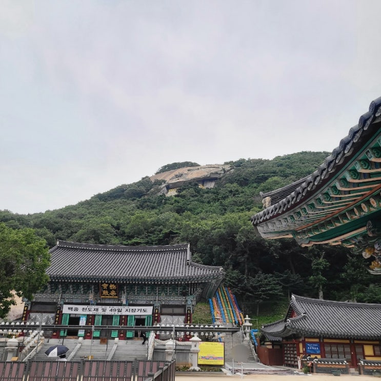 [강화 가볼만한곳] 기도발 좋기로 소문난 석모도 해수관음성지 《보문사》