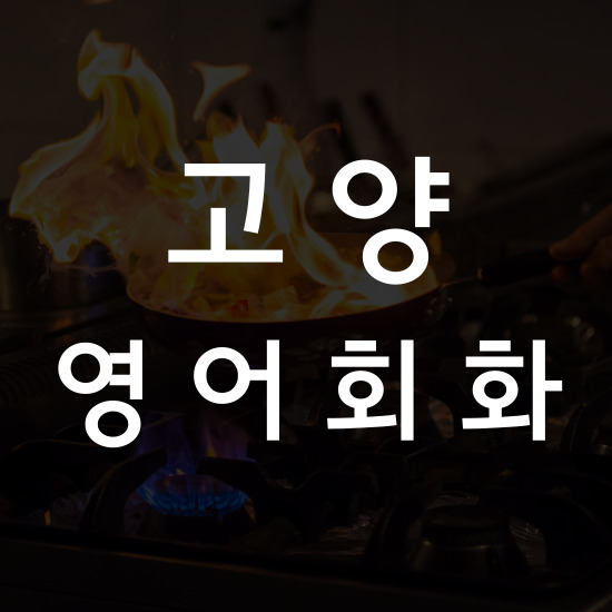  고양 왕초보 영어회화 초등 중학생 고등 파닉스 일대일 직장인 영어 공부하기 비즈니스 성사동 행신동 화정동