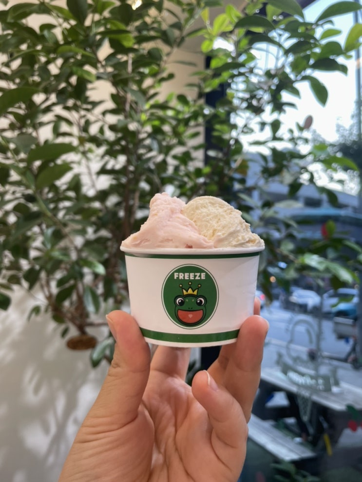  평택 신상 카페 소사벌 아이스크림 맛집 프리즈 freeze 수제 아이스크림 젤라또 소르베