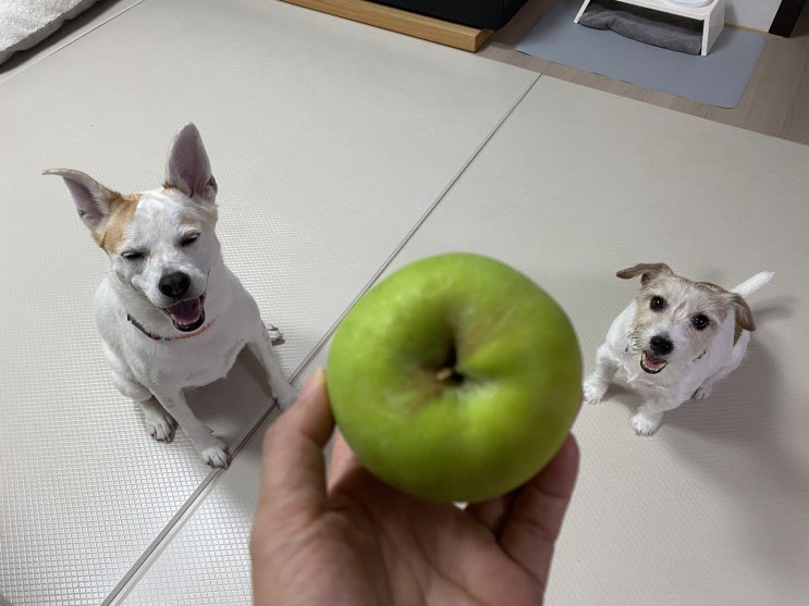  진짜 여름인가?