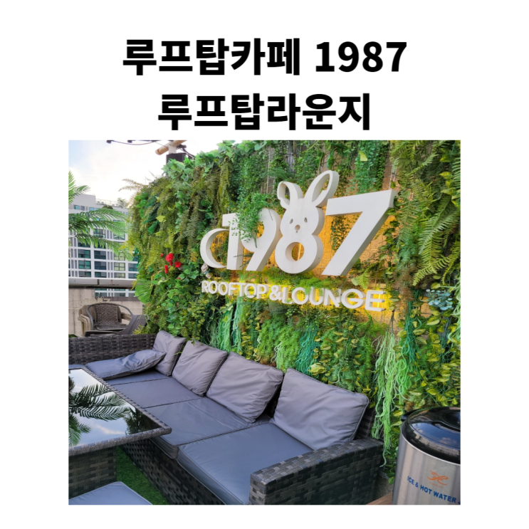  루프탑카페 1987루프탑라운지 방이동 술집 방이동 데이트