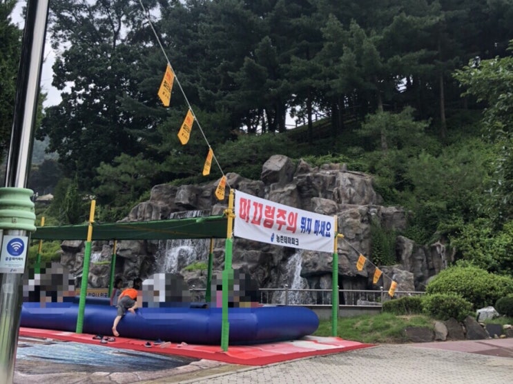  용인시 농촌테마파크 무료 물놀이장 개장