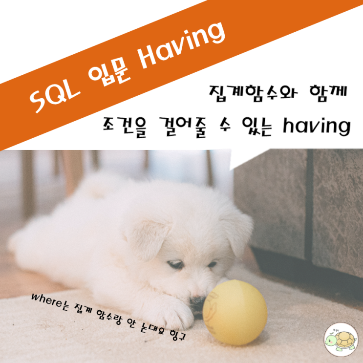  [SQL 입문] Having 집계된 값으로 조건 걸기