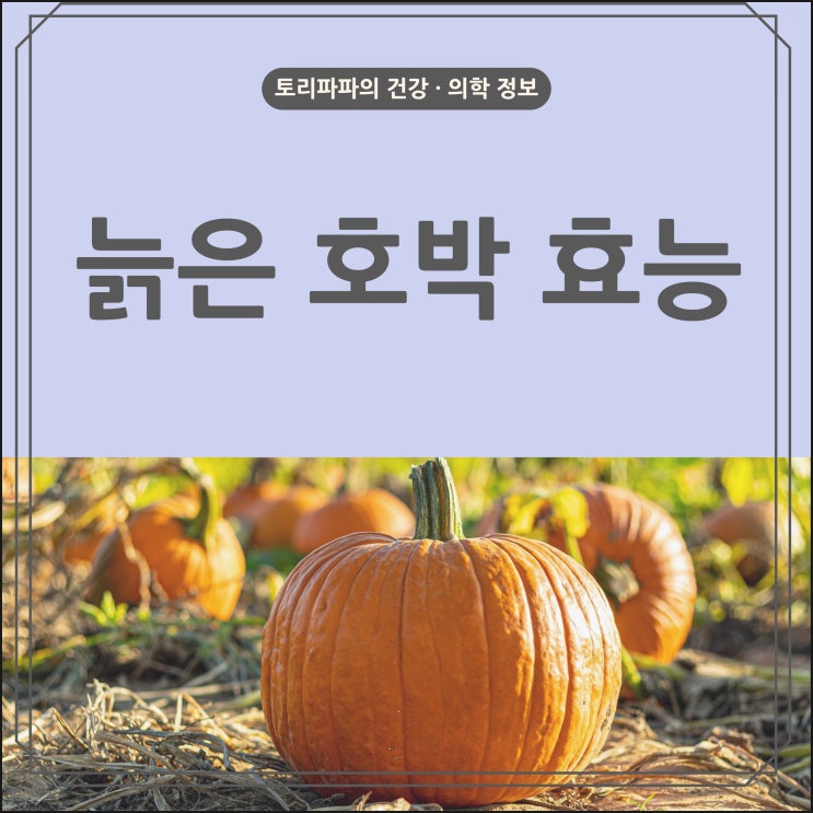 늙은 호박 효능 5가지 : 산후조리