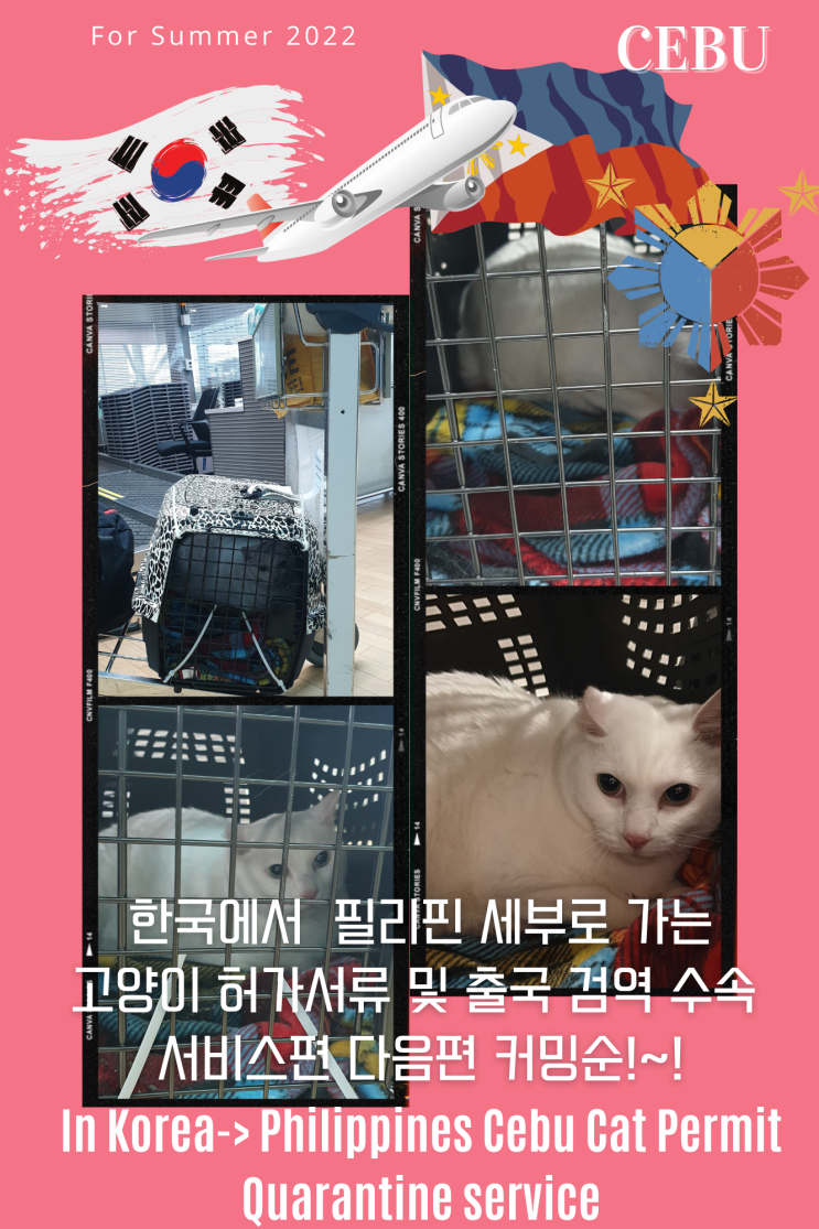  강아지 고양이 필리핀 마닐라 세부 클락 검역 동반 출국 수입허가 반려동물 해외 운송