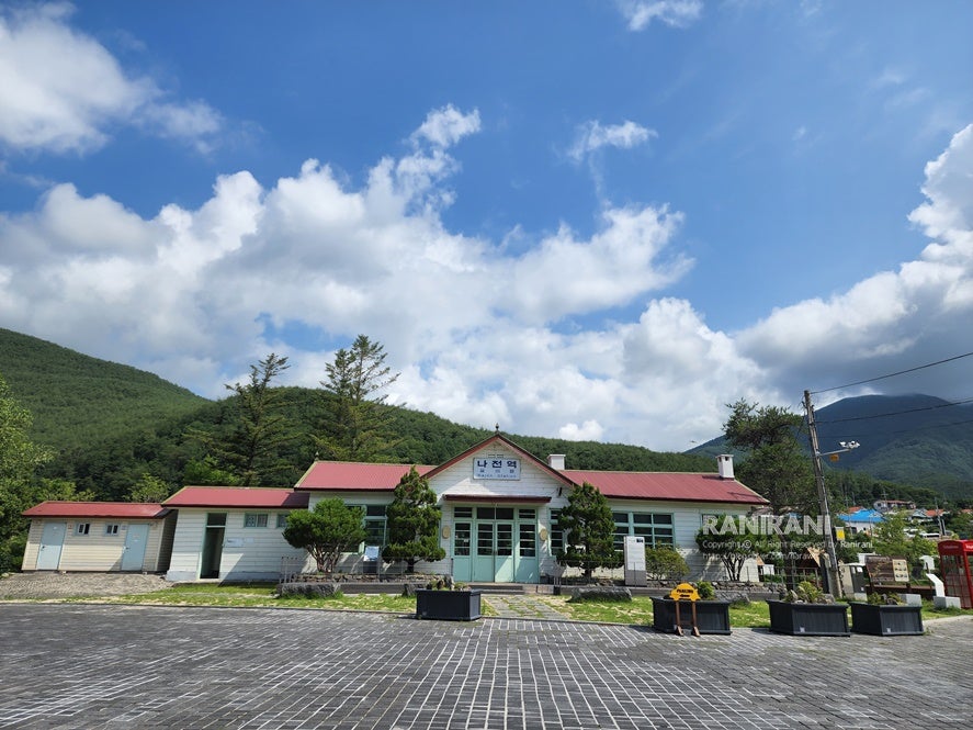라선옥 사진 2