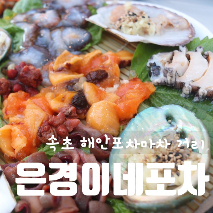  속초 은경이네 포차 속초해안포차 등대해수욕장 포차거리 포장마차거리 모듬해산물