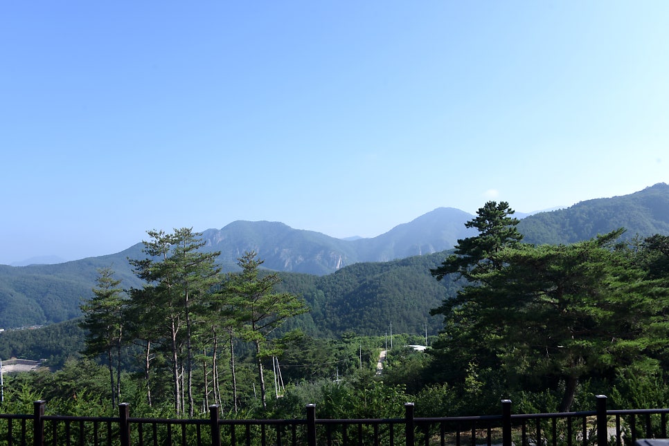 피나무골 사진 5