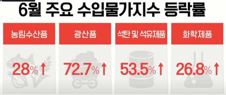 한국 경제 금리 인상 빅스텝 강행 국제 유가 물가 상승 여파 한국 경제 금리 인상 빅스텝 강행 국제 유가 물가 상승 여파