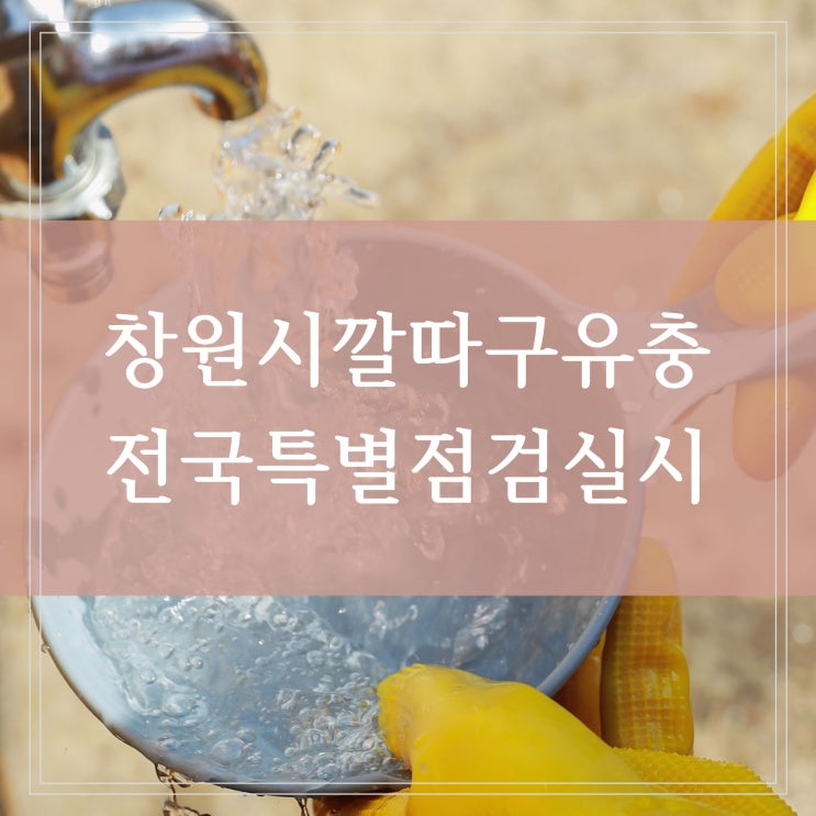  창원시 유충 깔따구 나온 수돗물 석동정수장 개선방안 환경부 전국 특별점검 실시