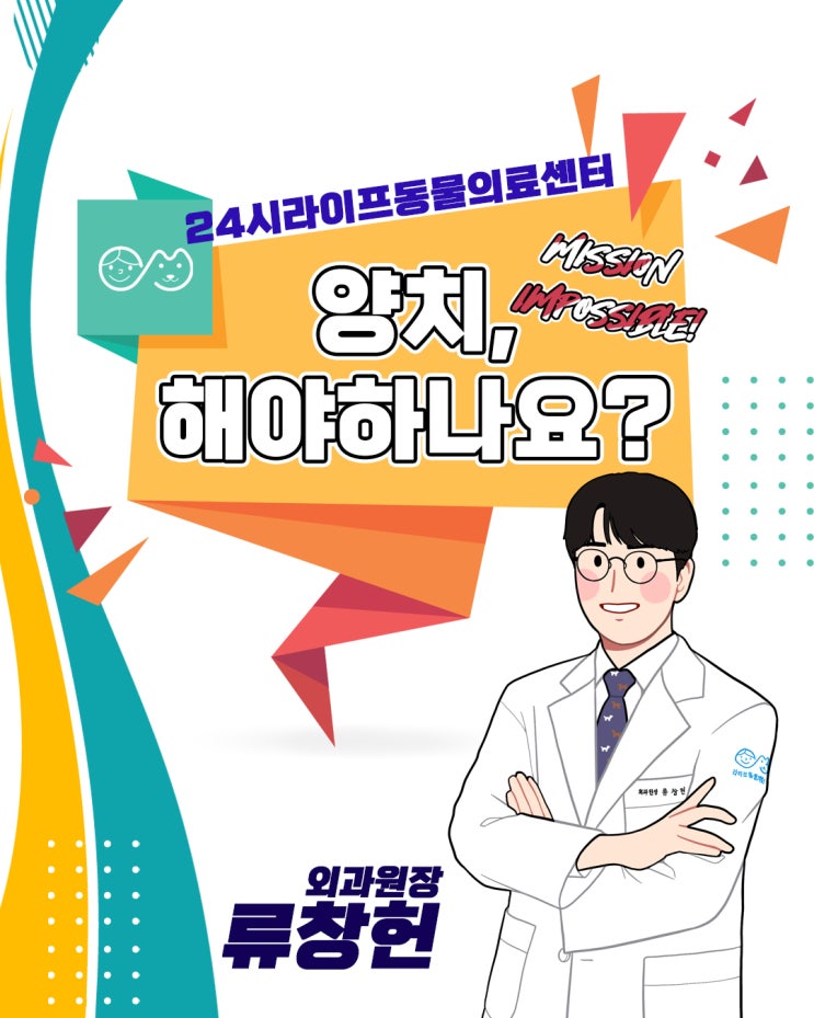 강아지 고양이 치아관리 : 양치, 과연 해야하나요? 양치 싫어 모여라!대구24시동물병원 강아지 고양이 치아관리 : 양치, 과연 해야하나요? 양치 싫어 모여라!대구24시동물병원