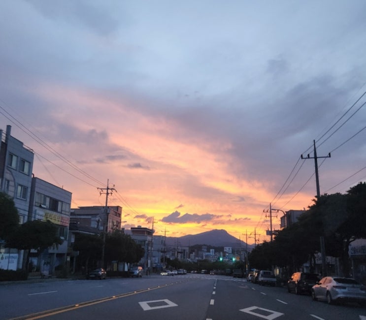  [주간일기 챌린지] 짧고도 길었던 한주의 끝, 새벽감성