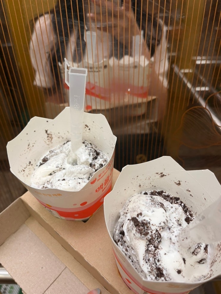  주간일기 2요약 키키쿠키 마카롱 여름그만