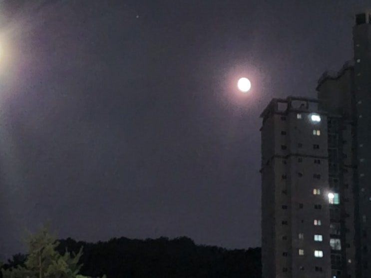  덕천 스시 맛집 올타미스터스시 덕천점 / 추억의 아이스크림 맛집 맛나집 / 만덕 가성비 술집 새론포차