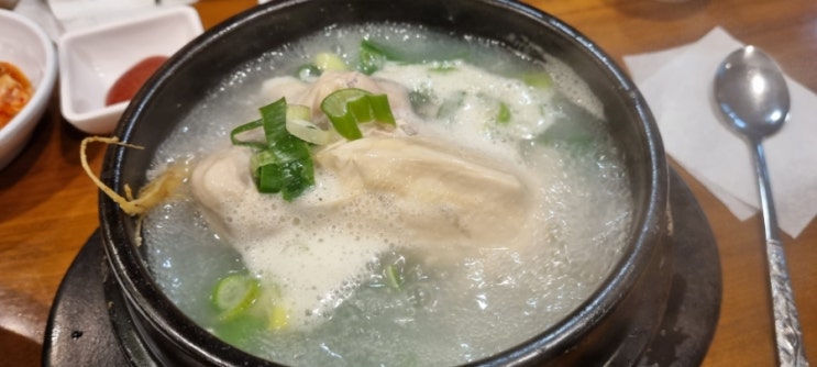 시청역 삼계탕 맛집 @고려삼계탕 내돈내먹 시청역 삼계탕 맛집 @고려삼계탕 내돈내먹