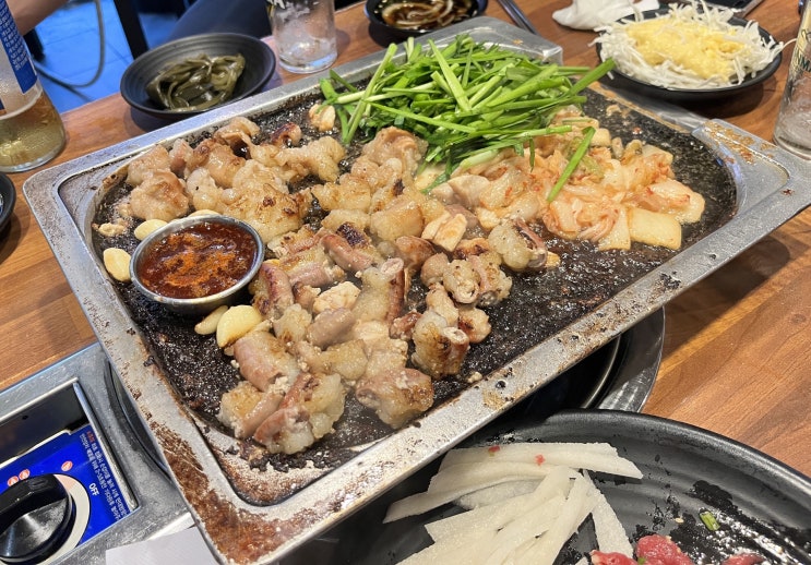  깜돌이 누나의 7월 셋째주 주간일기