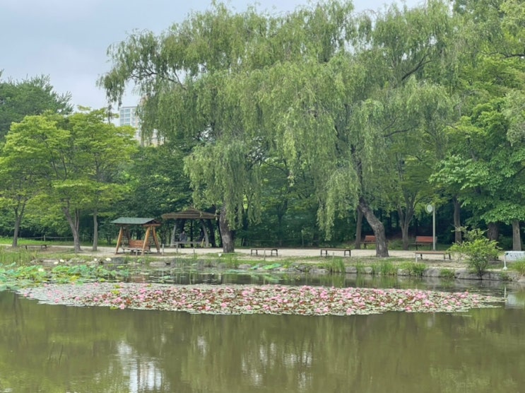  오산 나들이 <물향기 수목원, 오산 독산성, 세마대지>