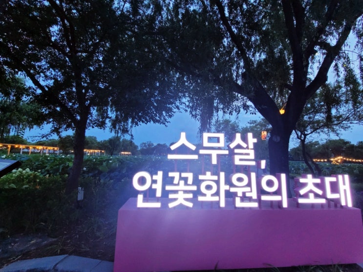  부여 가볼만한곳 궁남지 연꽃축제 빛나는 이야기를 담자