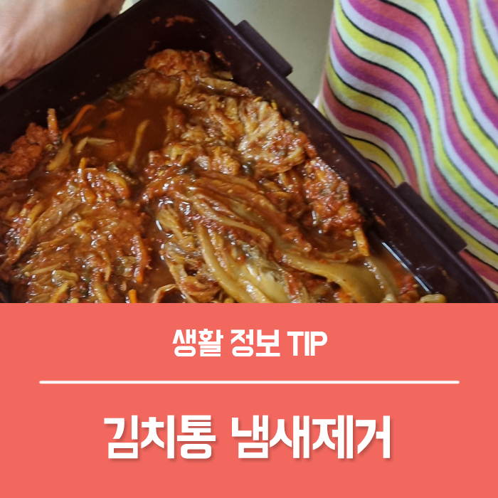  김치통 냄새제거 7가지 나만의 비밀