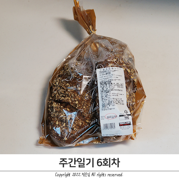 주간일기 6회차 : 이러니 살이 찔 수밖에