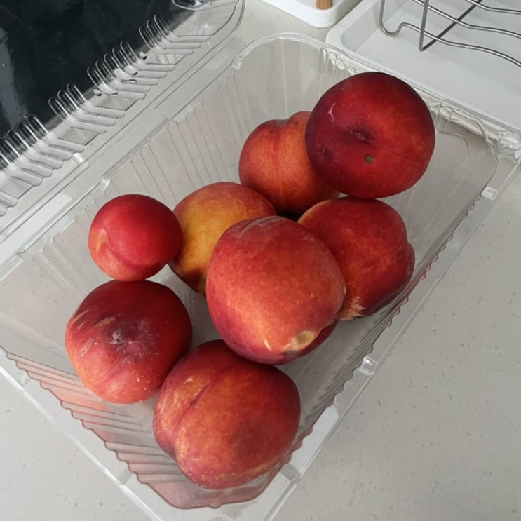 복숭아 Peaches