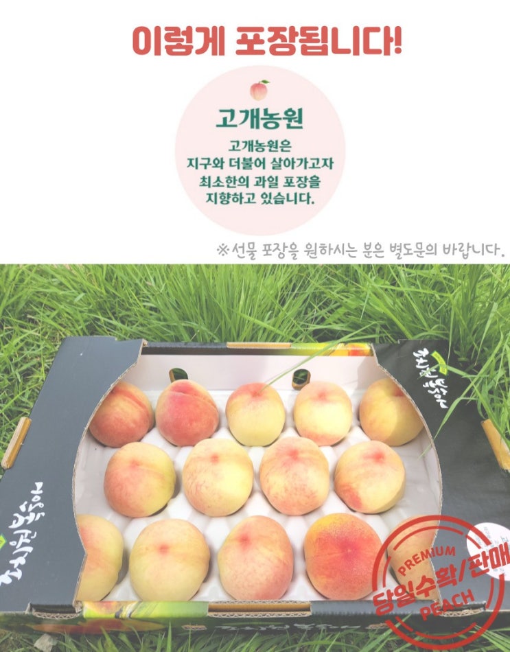  2022년도 복숭아 택배 접수 받습니다 [세종 조치원 복숭아과수원 - 고개농원]