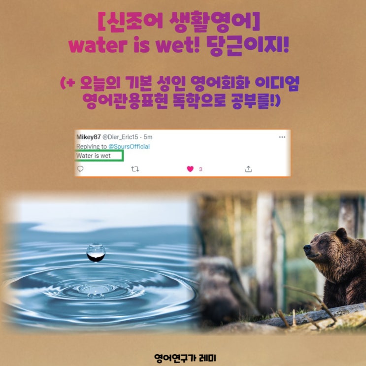 [신조어 생활영어] water is wet! 당근이지! (+ 오늘의 기본 성인 영어회화 이디엄 영어관용표현 독학으로 공부를!)