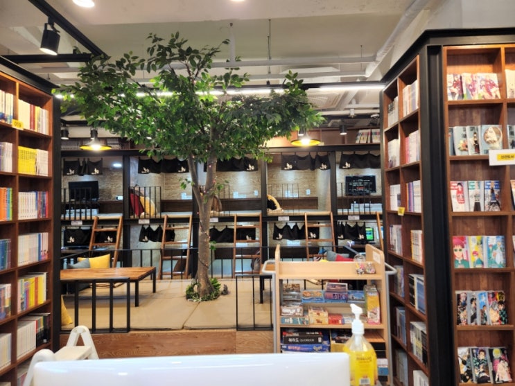 남양주 오남 만화방 놀숲 만화카페 2시간 이용 후기 남양주 오남 만화방 놀숲 만화카페 2시간 이용 후기