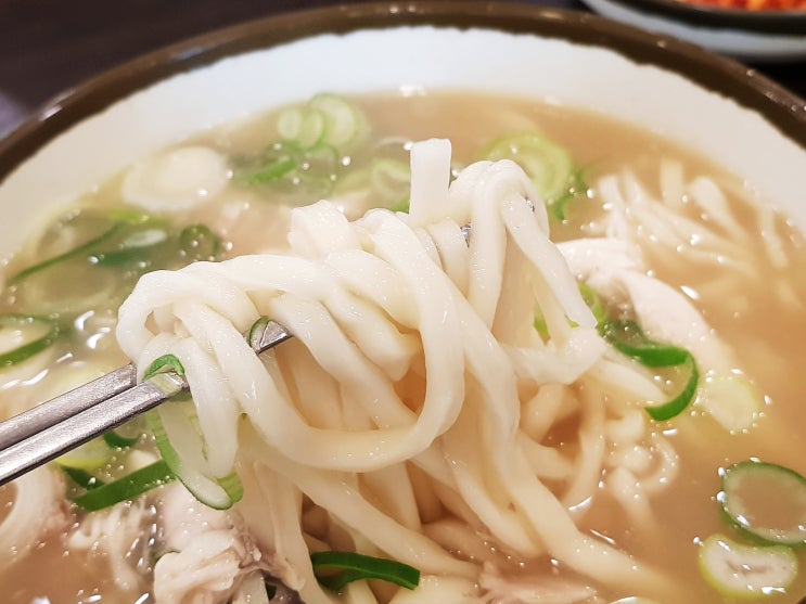 일산 풍산역 맛집 <일산칼국수본점>에서 닭칼국수 먹어봄v