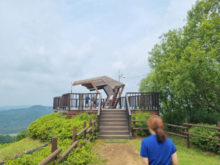  [파주 여행] 가족끼리 피톤치드 가득 느낄 수 있는 파주 율곡수목원!