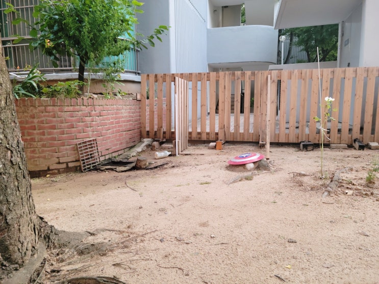  20220711-20220717 주간일기 6회차
