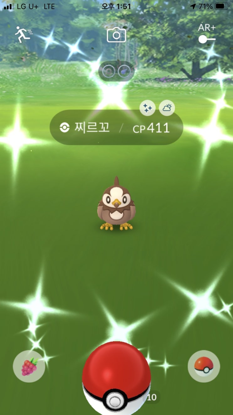  찌르꼬, 찌르버드, 찌르호크 이로치
