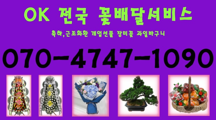  월롱면꽃배달 능산리꽃배달 덕은리꽃배달 도내리꽃배달 영태리꽃배달 위전리꽃배달 적성면꽃배달