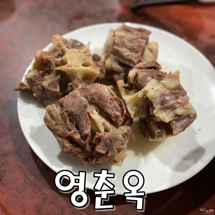  [종로3가 맛집] 종로 노포 맛집 영춘옥