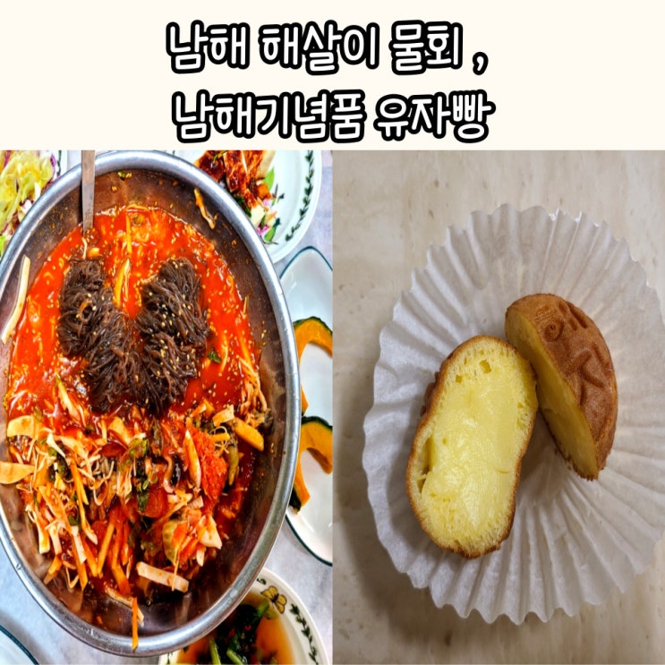 남해 현지인 맛집 해살이 물회 : 남해 특산물 백년유자2호점 기념품 구매
